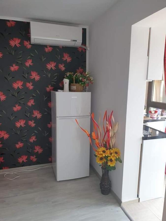 Apartament Alina Saturn Exteriör bild