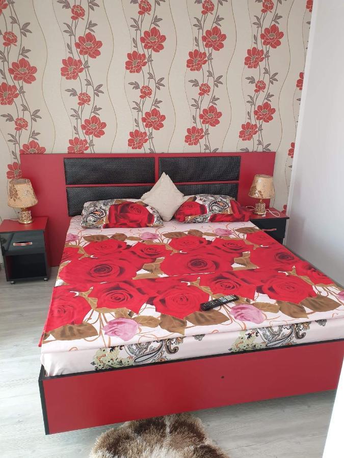 Apartament Alina Saturn Exteriör bild